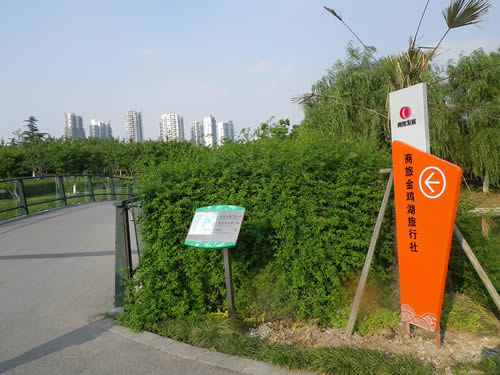 工程標牌